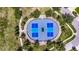 Aerial view of a community pickleball court surrounded by lush green landscaping at 15507 Caynor Ash Ln, Sun City Center, FL 33573