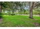 Lush green backyard featuring mature trees, offering a serene and private outdoor space at 1864 Clearbrooke Dr, Clearwater, FL 33760