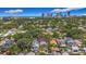 Expansive aerial view of a neighborhood with lush trees and city skyline in the distance at 231 15Th Ne Ave, St Petersburg, FL 33704