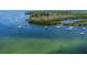 Picturesque aerial view of multiple sailboats near a lush, wooded island in the waterway at 2349 Wood Pointe Dr, Holiday, FL 34691