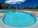 Close up view of the beautiful community pool and hot tub at 2349 Wood Pointe Dr, Holiday, FL 34691