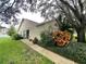 Charming single-story home with olive siding, well-kept landscaping, and mature trees at 2390 Bentley Dr, Palm Harbor, FL 34684