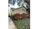 Charming single-story home with olive siding, well-kept landscaping, and mature trees at 2390 Bentley Dr, Palm Harbor, FL 34684