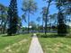 Picturesque pond view framed by mature trees, offering a serene and tranquil setting at 2390 Bentley Dr, Palm Harbor, FL 34684
