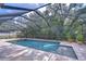 The backyard boasts a screened-in pool with spa, framed by lush greenery for a secluded retreat at 3323 Anna George Dr, Valrico, FL 33596