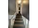 Carpeted stairway with white banister leading to the upper floor of the home at 4967 Steel Dust Ln, Lutz, FL 33559