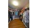 Spacious walk-in closet with ample hanging space and shelving for organized storage at 4967 Steel Dust Ln, Lutz, FL 33559