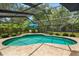 Screened-in pool with lounge chairs and lush, landscaped surroundings for relaxation and privacy at 535 Sandy Hook, Palm Harbor, FL 34683