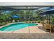 Beautiful pool area with blue umbrellas, surrounded by a screened enclosure and comfortable seating at 535 Sandy Hook, Palm Harbor, FL 34683