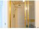 Shower stall featuring gold trim and rainfall shower head at 80 Rogers St # 6D, Clearwater, FL 33756