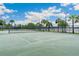 Outdoor tennis court surrounded by palm trees and a fence offers a sporty amenity at 9313 Lemon Drop Loop, Ruskin, FL 33573