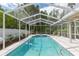 Private pool with a screened enclosure, flamingo floaties, and plenty of sunshine at 10002 Colonnade Dr, Tampa, FL 33647