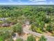 Overhead view of a home in a tranquil neighborhood with abundant trees and greenery at 103 Hickory Creek Blvd, Brandon, FL 33511