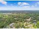 Expansive aerial view of lush, tree-filled neighborhood with blue skies at 103 Hickory Creek Blvd, Brandon, FL 33511