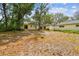 A spacious backyard featuring the back of the house with mature trees and natural landscaping at 103 Hickory Creek Blvd, Brandon, FL 33511