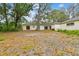 Expansive backyard with mature trees, perfect for outdoor activities and relaxation at 103 Hickory Creek Blvd, Brandon, FL 33511