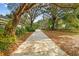 Long driveway leading to the home, shaded by mature trees with Spanish moss at 103 Hickory Creek Blvd, Brandon, FL 33511