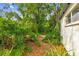 Side yard with lush greenery providing a tranquil and private setting at 103 Hickory Creek Blvd, Brandon, FL 33511