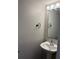 Powder room features a pedestal sink, updated fixtures and a decorative mirror at 11102 Summer Star Dr, Riverview, FL 33579