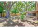 Backyard featuring mature trees and a wood fence at 1433 Spring Ln, Clearwater, FL 33755