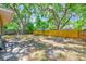 Spacious backyard featuring a wood fence and mature trees at 1433 Spring Ln, Clearwater, FL 33755