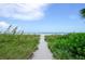 Picturesque path leading to the beach with lush dune vegetation at 1480 Gulf Blvd # 1004, Clearwater Beach, FL 33767