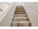 Carpeted stairs showcase the home's comfortable design at 1532 Citrine Trl, Tarpon Springs, FL 34689