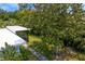 Aerial view of the backyard, showcasing lush landscaping and mature trees at 2665 Clubhouse N Dr, Clearwater, FL 33761
