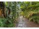 Stepping stone pathway surrounded by lush, tropical greenery in the backyard at 2665 Clubhouse N Dr, Clearwater, FL 33761