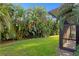 Green backyard featuring lush tropical foliage, and privacy hedging at 2665 Clubhouse N Dr, Clearwater, FL 33761