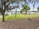 Community park with a swing set, benches, and walking trails for outdoor recreation at 36673 Spanish Rose Dr, Dade City, FL 33525