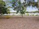 Community park with shady benches and a peaceful setting for residents to enjoy at 36673 Spanish Rose Dr, Dade City, FL 33525