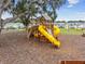 Community playground with slide and climbing structures, perfect for Gathering fun at 36673 Spanish Rose Dr, Dade City, FL 33525