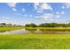 Expansive view of a tranquil pond surrounded by lush greenery, creating a serene and picturesque landscape at 36673 Spanish Rose Dr, Dade City, FL 33525