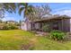 Expansive backyard featuring lush lawn, tropical landscaping and covered patio area at 493 Lucerne Ave, Tampa, FL 33606