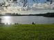 Scenic water view from the backyard, featuring lush greenery and serene water at 5688 Oakhurst Dr, Seminole, FL 33772