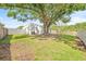 Spacious backyard featuring a lush lawn, mature tree, and privacy fence perfect for outdoor entertaining at 6404 Monterey Blvd, Tampa, FL 33625