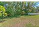 Lush backyard featuring green grass, mature trees, and a white fence in the background at 10212 Holland Rd, Riverview, FL 33578