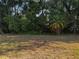 A beautiful backyard landscape full of tropical greenery at 10212 Holland Rd, Riverview, FL 33578