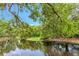 Scenic water view of a tranquil lake surrounded by lush, mature trees creating a serene landscape at 1200 Tarpon Woods Blvd # M8, Palm Harbor, FL 34685
