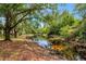 Scenic water view of a tranquil lake surrounded by mature trees, creating a peaceful atmosphere at 1200 Tarpon Woods Blvd # M8, Palm Harbor, FL 34685