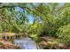 Picturesque water view of a tranquil lake surrounded by lush, mature trees creating a serene landscape at 1200 Tarpon Woods Blvd # M8, Palm Harbor, FL 34685