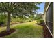 Expansive backyard with lush green grass and mature trees, perfect for outdoor activities and relaxation at 1713 Trailwater St, Ruskin, FL 33570