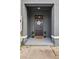 Inviting front entry with stylish door and decorative plants create a welcoming atmosphere at 2906 Boxwood Grove Row, Wesley Chapel, FL 33543