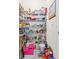 Well-stocked pantry with shelving and ample storage space at 2906 Boxwood Grove Row, Wesley Chapel, FL 33543