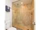 Updated bathroom features a glass enclosed shower with tiled walls and mosaic floor at 29147 Bay Hollow Dr # 3217, Wesley Chapel, FL 33543