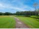 Scenic golf course view with trees and pond at 29147 Bay Hollow Dr # 3217, Wesley Chapel, FL 33543