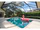 Sparkling screened pool and spa area is surrounded by well-maintained landscaping for privacy and relaxation at 2963 Cielo N Cir, Clearwater, FL 33759