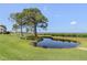 Scenic pond features a large tree and views of the waterfront walkway at 322 Windrush Loop # 22, Tarpon Springs, FL 34689