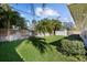 Lush backyard featuring a green lawn, privacy fence, storage shed, and mature palm trees at 4103 W Bay Villa Ave, Tampa, FL 33611